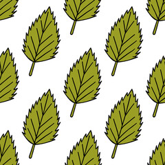 Fototapeta premium seamless pattern with birch green leaves on white background.eps