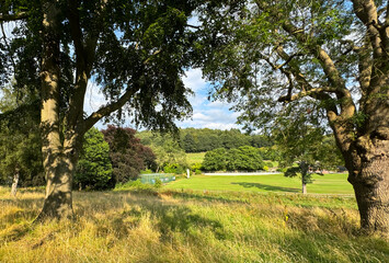 Two large trees frame a view of a lush green field with varied foliage, sunshine, and a clear blue sky. The scene is tranquil with a cricket pitch partially visible in the distance in, Mirfield, UK