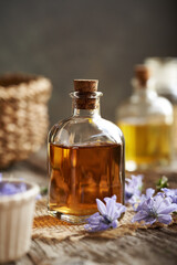 A bottle of herbal tincture with fresh chicory flowers