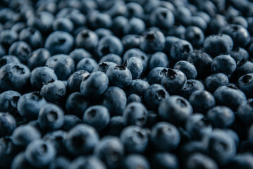 Freshly Picked Blueberries Macro Shot
