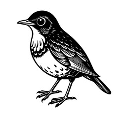 American robin silhouette vector illustration, Logo Icon, Clipart, Silhouette