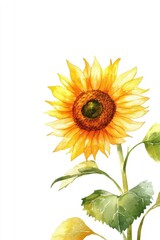 Fototapeta premium Vibrant sunflower with yellow petals and a rich brown center, symbolizing happiness and warmth in nature.
