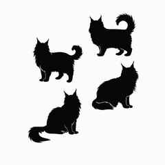 Maine coon cat silhouette set animals vector template