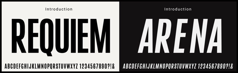 Condensed Vector Fonts. Alphabet of sans serif font with modern typography. bold and tall vector font 