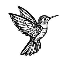 hummingbird silhouette vector illustration