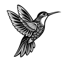 hummingbird silhouette vector illustration