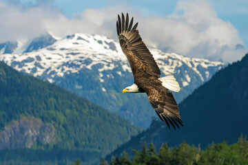 A majestic bald eagle soars effortlessly above a breathtaking mountain range, embodying freedom and the spirit of the wild.