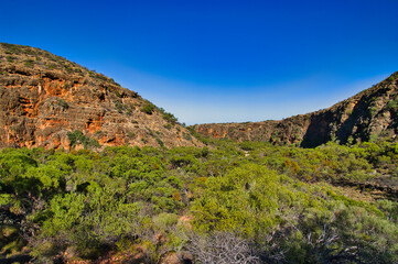 Eroded red limestone rock formations rising up from the forested canyon of the Mandu Mandu Gorge, Cape Range National Park, Western Australia.
