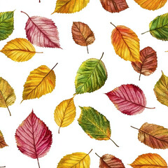 Seamless pattern colorful variety of fall autumn leaves with vein detail and texture isolated on white background wallpaper backdrop season nature environment change aging fall colors with no people.