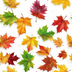 Seamless pattern colorful variety of fall autumn leaves with vein detail and texture isolated on white background wallpaper backdrop season nature environment change aging fall colors with no people.