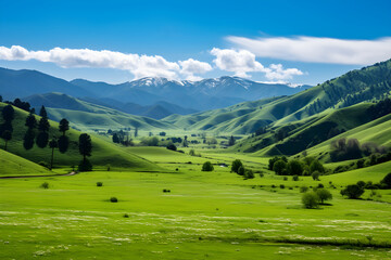 Springtime Serenity: An Exquisite Display of Timberland and Mountains in the Heart of Mother Nature