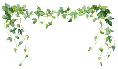PNG  Elegant watercolor leafy border