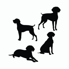 German Shorthaired Pointer Silhouette Vector Template Illustration