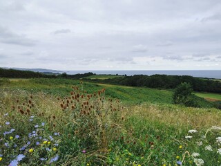View on the Atlantic coast near Saint-Jean-de-Luz, basque country, France