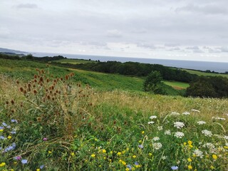 View on the Atlantic coast near Saint-Jean-de-Luz, basque country, France