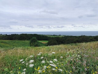 View on the Atlantic coast near Saint-Jean-de-Luz, basque country, France