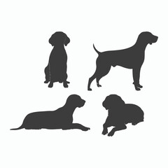 German Shorthaired Pointer Silhouette Vector Template Illustration