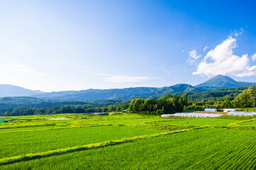 茅野市小野の田園地帯と蓼科山