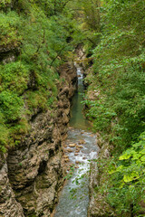 Mountain river with transparent foamy water and rocky bottom