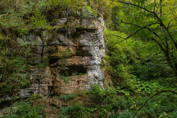 Steep mountain slopes in the gorge, covered with green moss