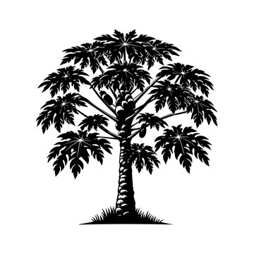 recommend clip art: papaya Tree, vector black color silhouette