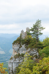 Mountain nature. Forests on hillsides