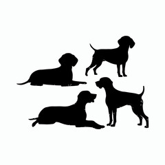 German Shorthaired Pointer Silhouette Vector Template Illustration