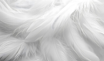 Fototapeta premium The abstract background of delicate white feathers is suitable for promotional bedding, soothing spa products that emphasize comfort, lightness and a sense of calm,copy space