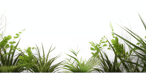 Białe gładkie tło pod baner, grafikę z napisami. Zielone rośliny, gałązki i liście kwiatów. Widok z góry