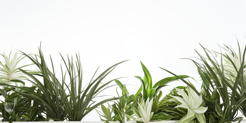 Białe gładkie tło pod baner, grafikę z napisami. Zielone rośliny, gałązki i liście kwiatów. Widok z góry