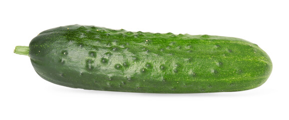 One fresh green cucumber isolated on white