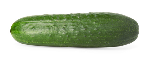 One fresh green cucumber isolated on white