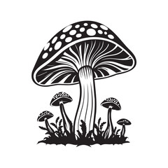 Mashroom vector illustration design on white background