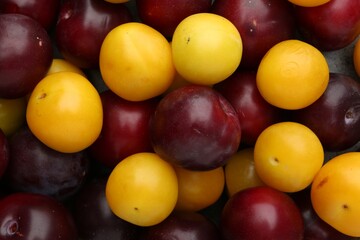 Tasty ripe plums as background, top view