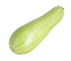 One fresh ripe zucchini isolated on white