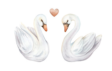 Watercolor hand painted illustration of couple of cute swans in love. Isolated on white background. Set of white pastel colors bird and red hearts. Wedding symbol of fidelity in the family
