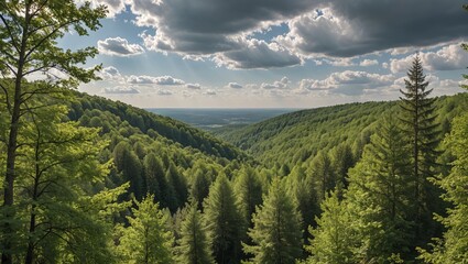 Fototapeta premium Majestic Forest Canopy A Lush and Vibrant Woodland Landscape