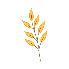 golden autumn leaves