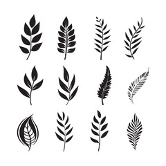 Set of leaves vector shilhouette design on white background