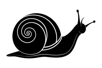 snail silhouette vector, Sea snail vector illustration


