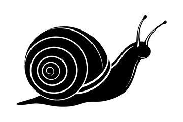 
Snail silhouette vector illustration, snail icon symbol