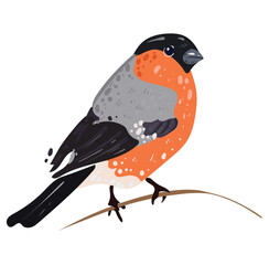 Bullfinch bird sits on a branch. Vector bird with a red breast. For winter New Year's card, greetings, invitations, design.