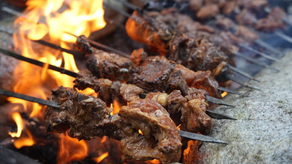 Grilled Chicken. Barbecued Chicken. BBQ Chicken. Lunch. Dinner. Snack. Food. Fair Food. Outdoor Event. Cooked Chicken Breast. Grilled meat. Appetizing