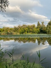 landscape with lake
