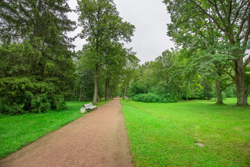 A park with a path and a bench