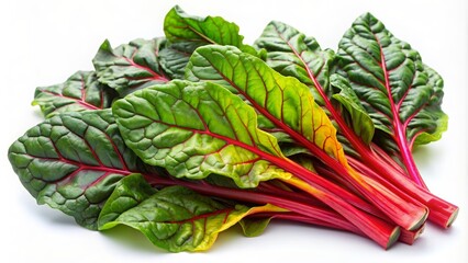 Obraz premium A bunch of vibrant swiss chard leaves isolated on white background, swiss chard, leafy greens, fresh, organic, vegetable
