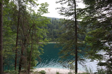 A serene lake nestled amidst towering trees, with the clear turquoise water shimmering beneath a...