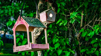 A Beautifully Colorful Birdhouse Swinging Gently in a Lush Green Natural Environment