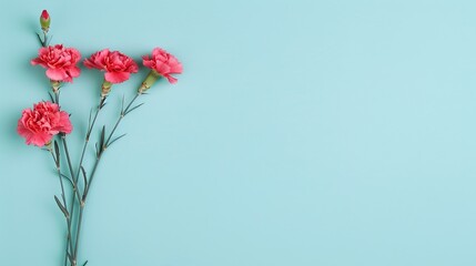 Obraz premium Pink Carnations on Light Blue Background, Minimalist Floral Design with Copyspace, Ideal for Nature-Inspired Projects, Floral Invitations, or Creative Design Themes.