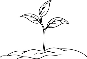 Simple Line Drawing of a Young Plant with Two Leaves